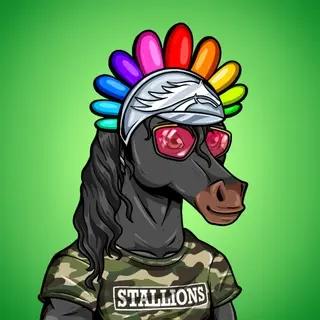Stallion #576