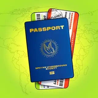 Mysterious Trip Passport