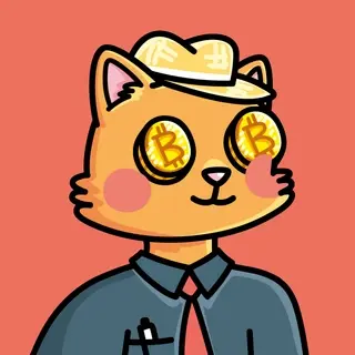 Suitcats #1531