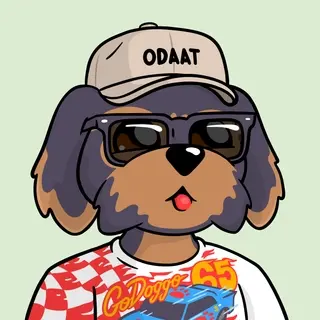 BoDoggos #2236