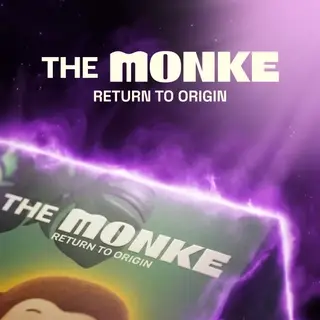 The Monke, Return To Origin