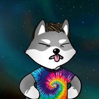 Dogelon: Mission SOLANA #103