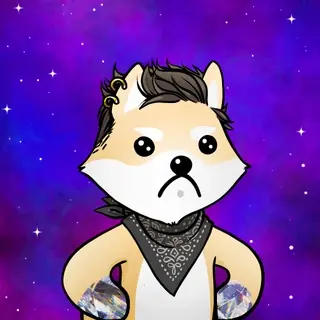 Dogelon: Mission SOLANA #155