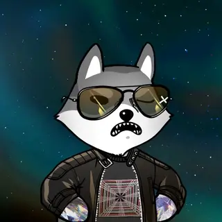 Dogelon: Mission SOLANA #254