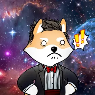 Dogelon: Mission SOLANA #31