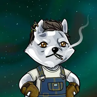 Dogelon: Mission SOLANA #48