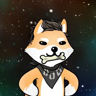 Dogelon: Mission SOLANA #490