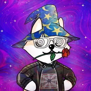 Dogelon: Mission SOLANA #498