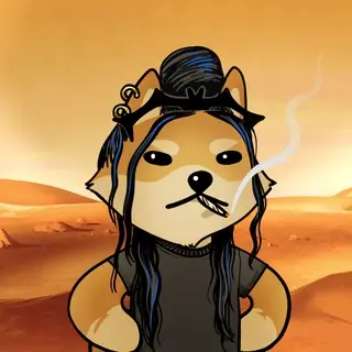 Dogelon: Mission SOLANA #538