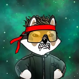 Dogelon: Mission SOLANA #54