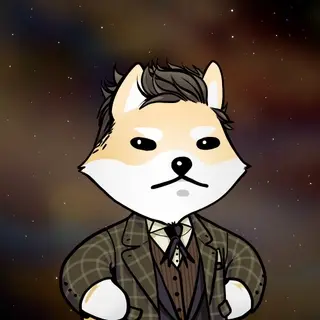 Dogelon: Mission SOLANA #553