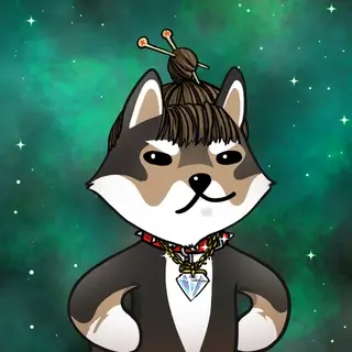 Dogelon: Mission SOLANA #574