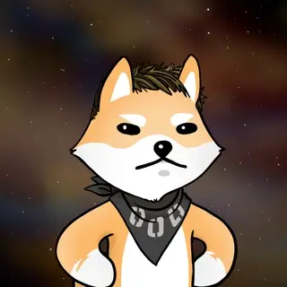 Dogelon: Mission SOLANA #625