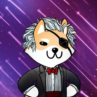 Dogelon: Mission SOLANA #662