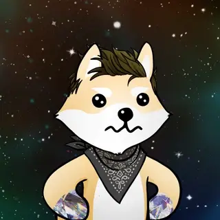 Dogelon: Mission SOLANA #683