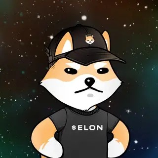 Dogelon: Mission SOLANA #783