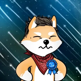 Dogelon: Mission SOLANA #795