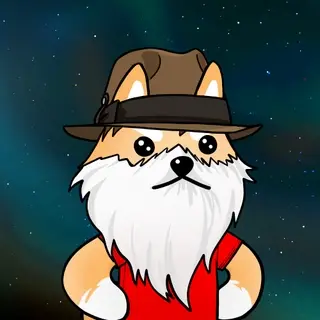 Dogelon: Mission SOLANA #95