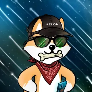 Dogelon: Mission SOLANA #98