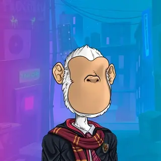 TTCC House Robe