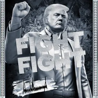 $TRUMP DIAMOND HANDS