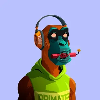 Primate #271