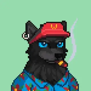 Wolf Capital #5009